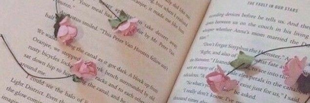 pinkplessure's profile banner image