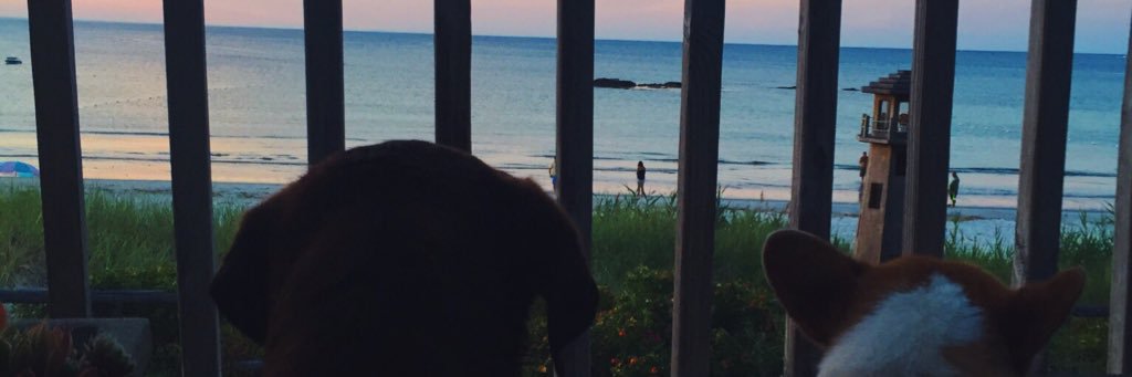insydious97's profile banner image