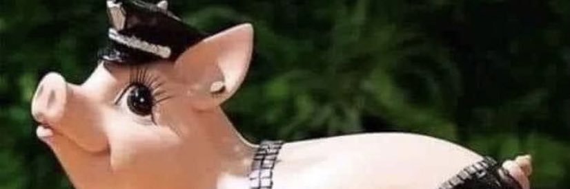 🐷 Martha 😉 Ms Piggy banner