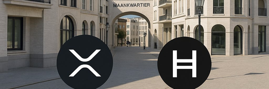 ParkstadMarc's profile banner image