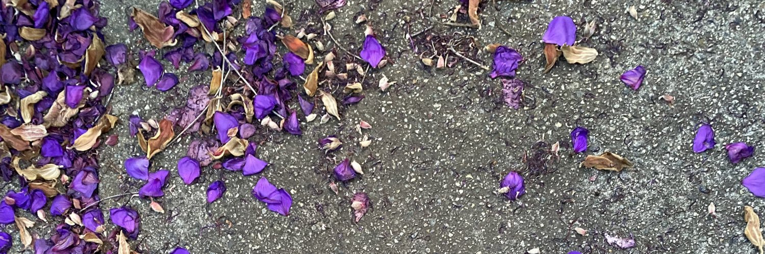dalas_jones's profile banner image