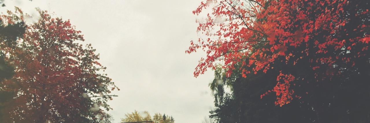 itslemonpie's profile banner image