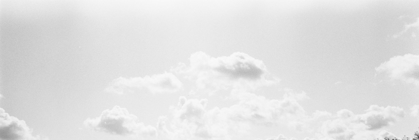 Stella_Scott's profile banner image