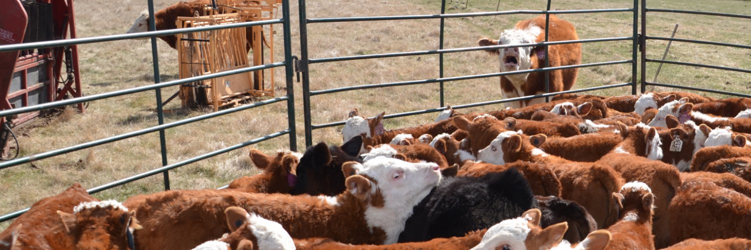 BEEF Magazine banner