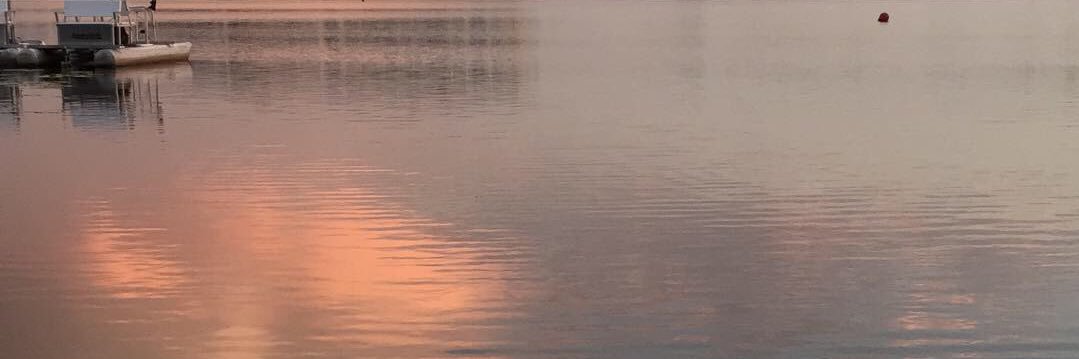 guwop_foster's profile banner image