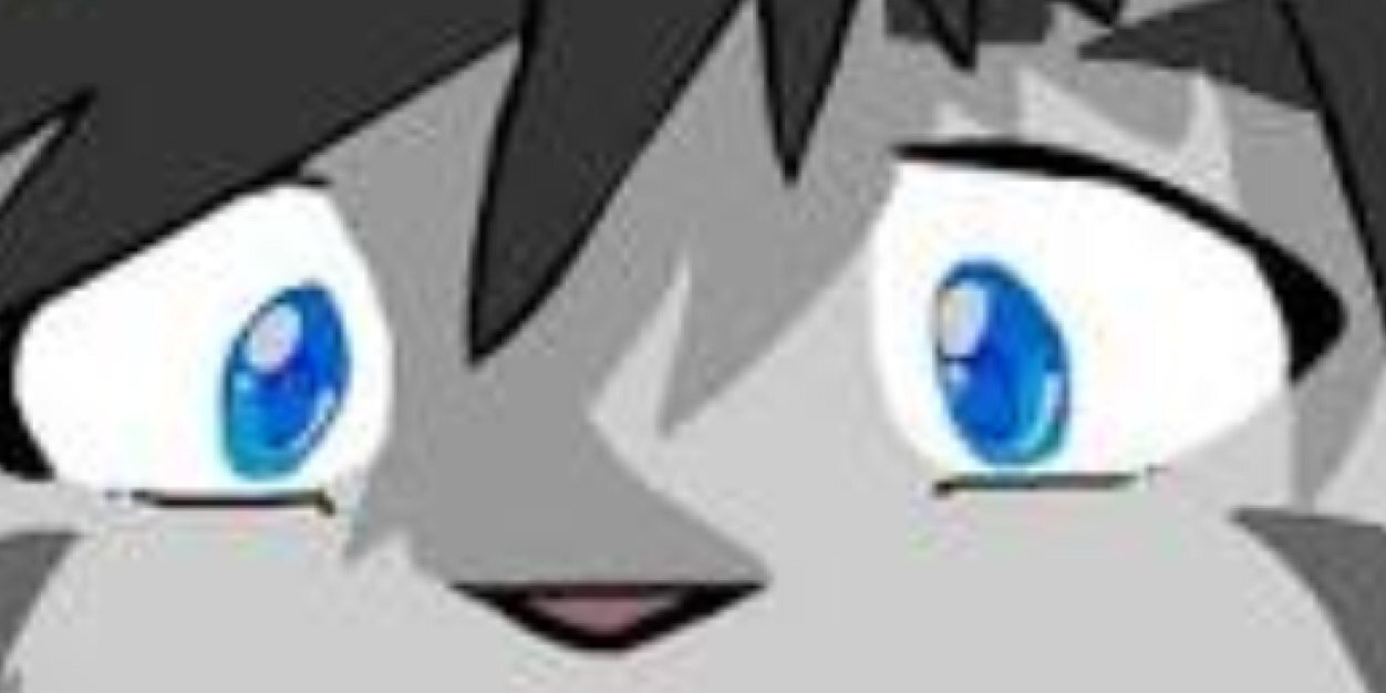 IceHeart1234's profile banner image