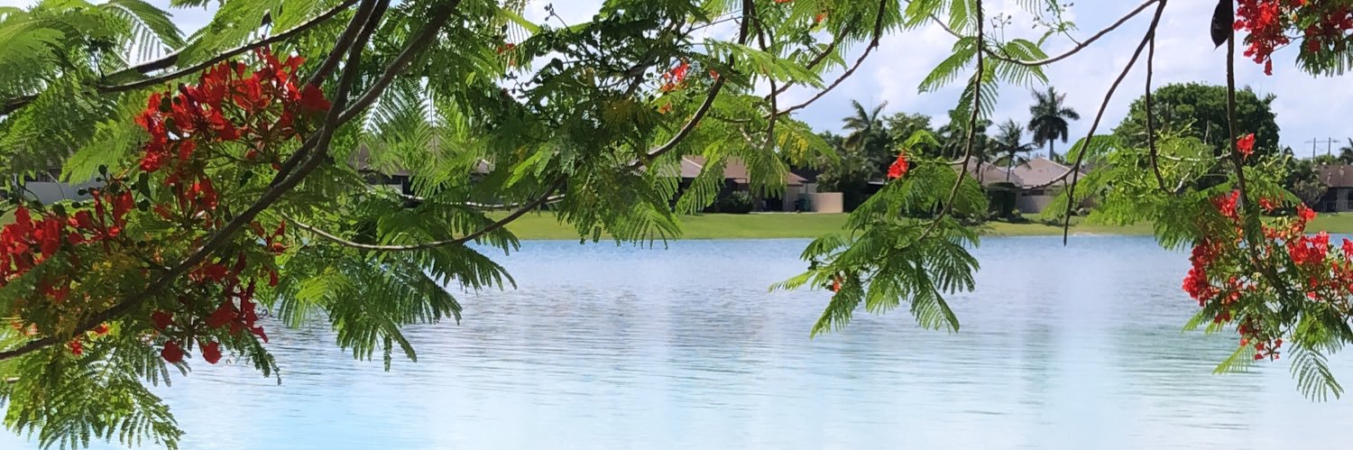 SamGrasss's profile banner image
