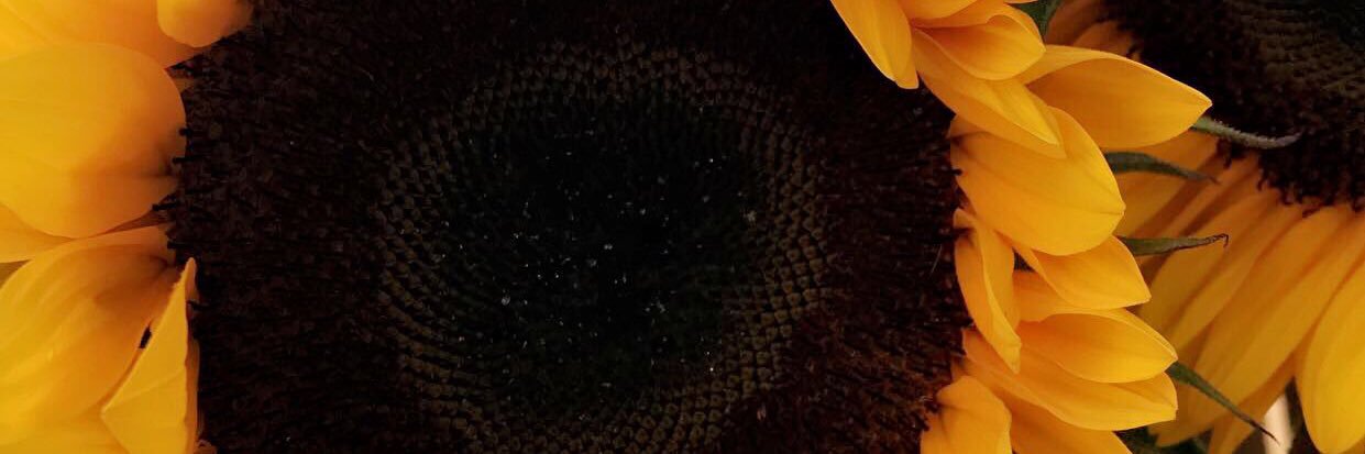 jay_luvaa's profile banner image