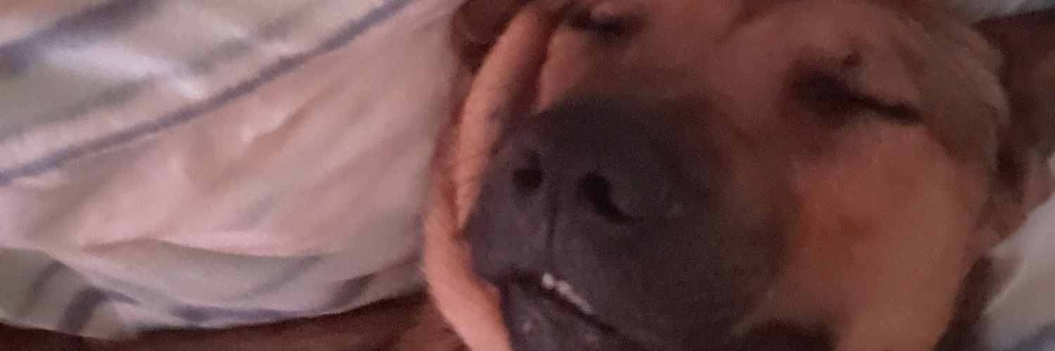 caddiehon's profile banner image