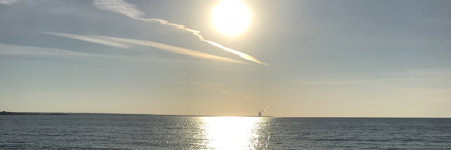 RealLouColella's profile banner image