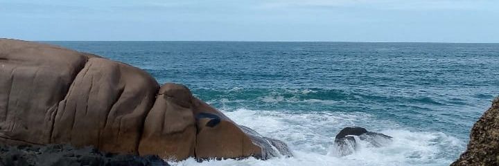 Barientos21's profile banner image