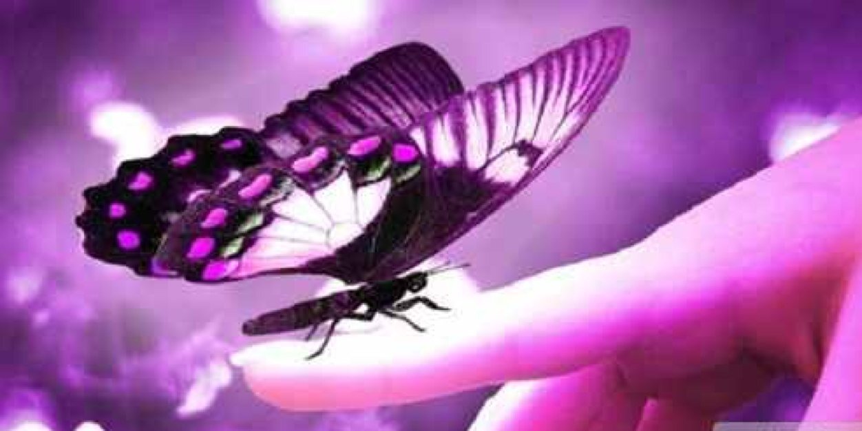 Fibro Fighters banner
