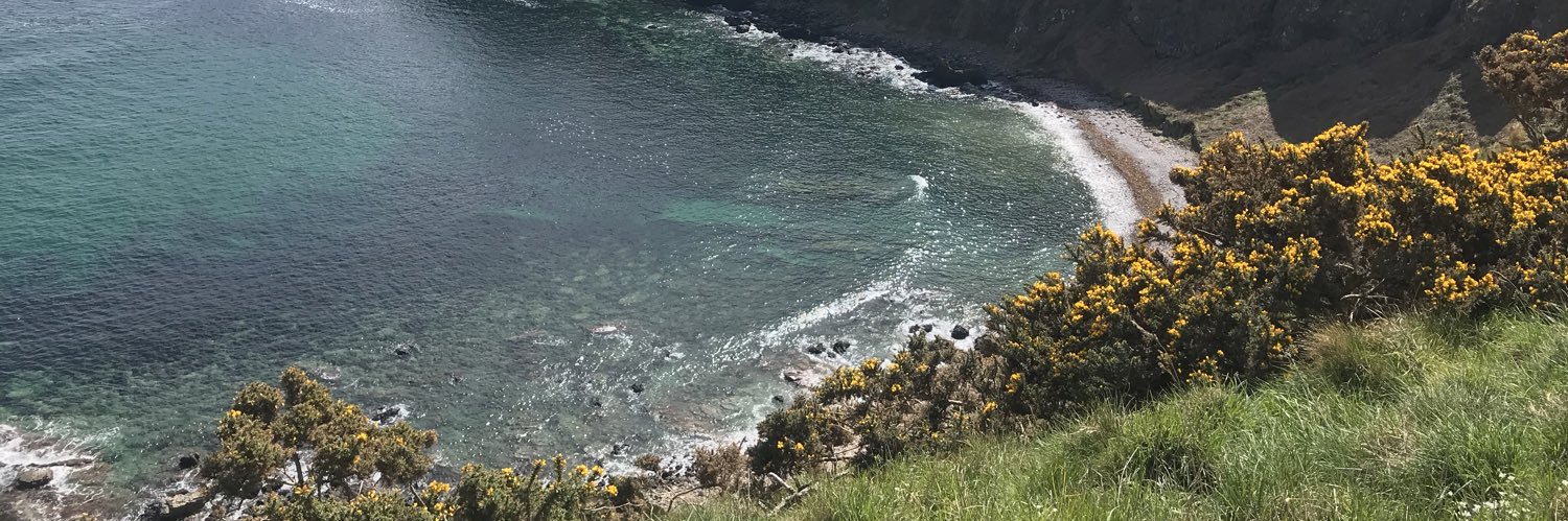 Fabio Manfredini banner