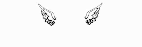 Pamella💫 banner