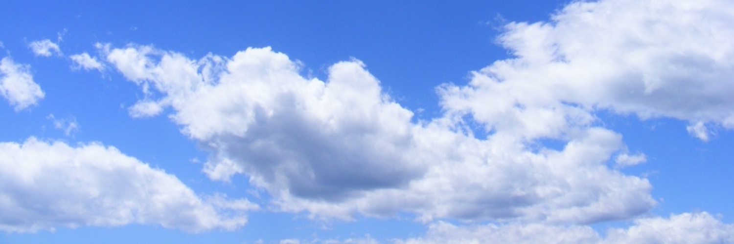 Im_a_King_Bee's profile banner image