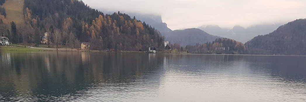 ReznikAndrei's profile banner image
