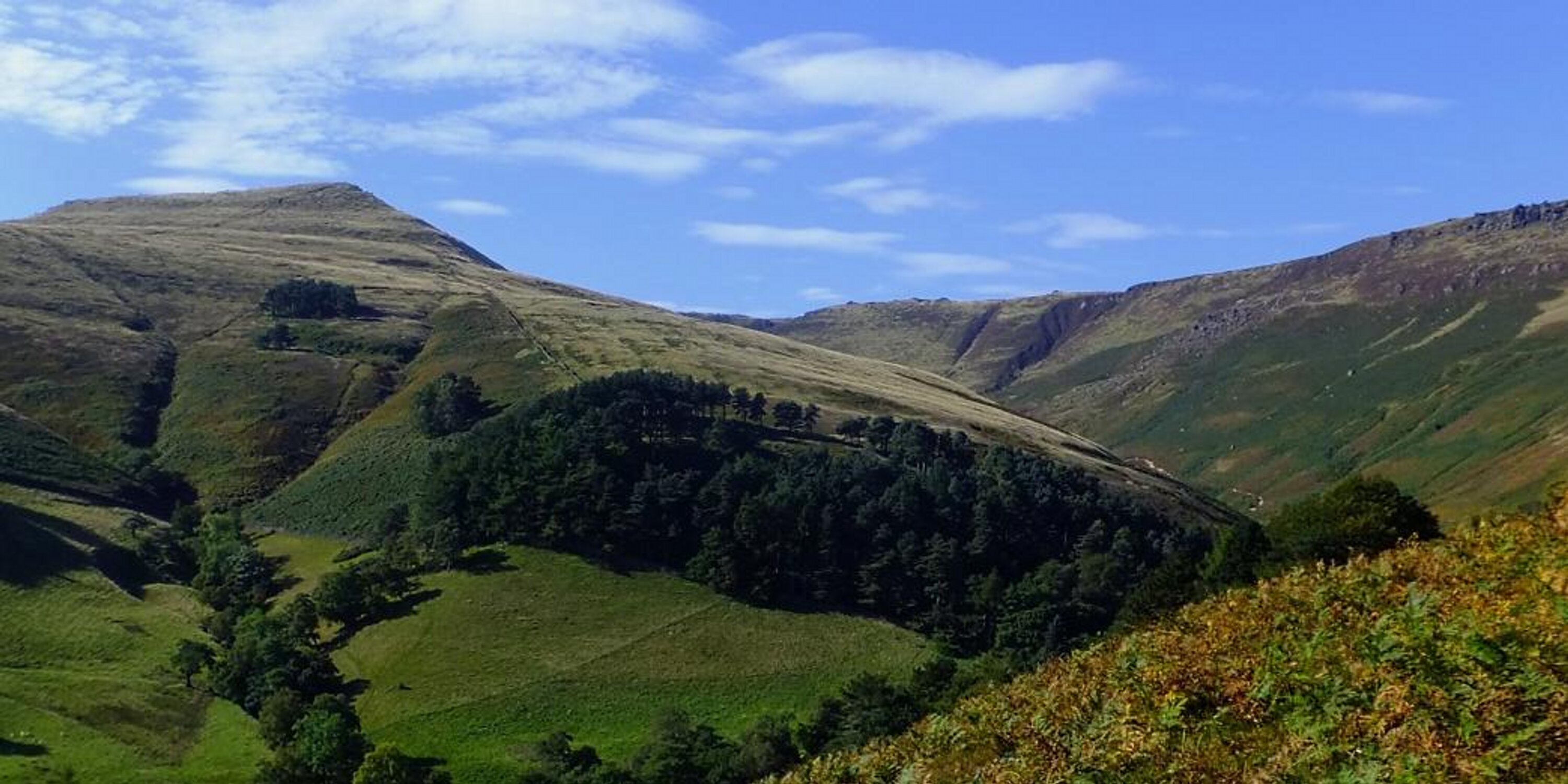 DebsSmith's profile banner image