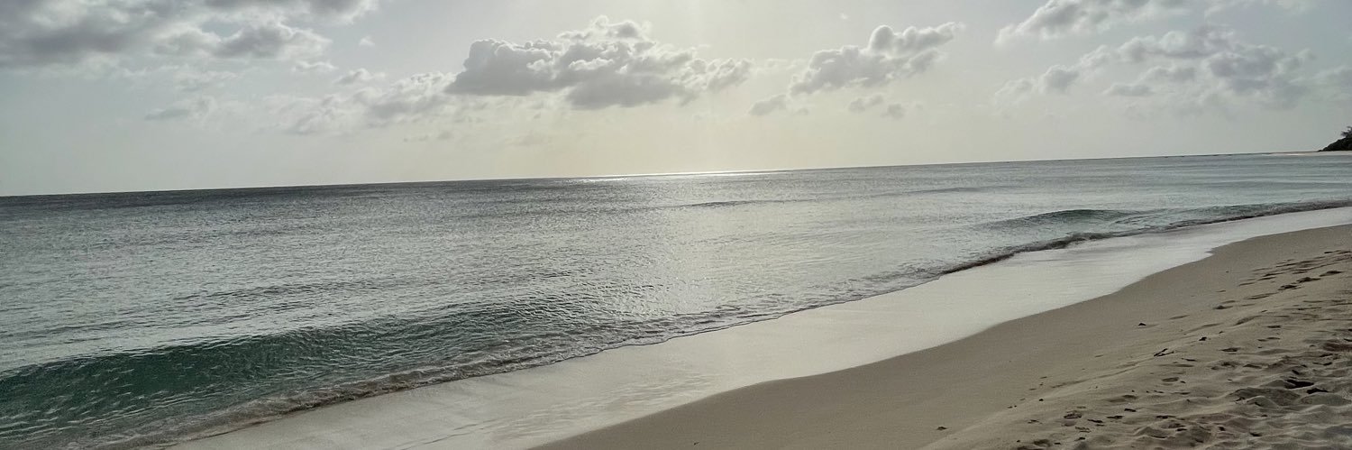 ruchae_'s profile banner image