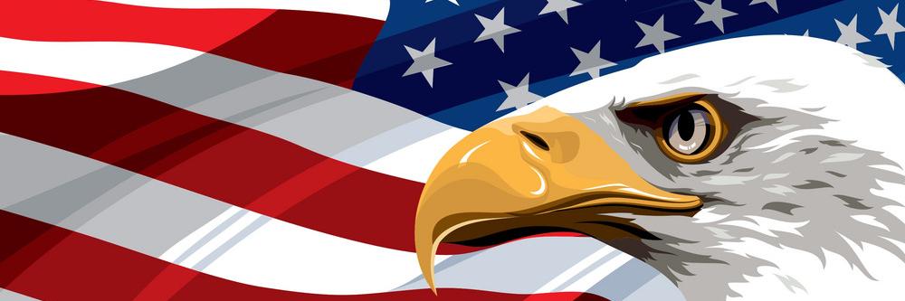 wisehonkler's profile banner image