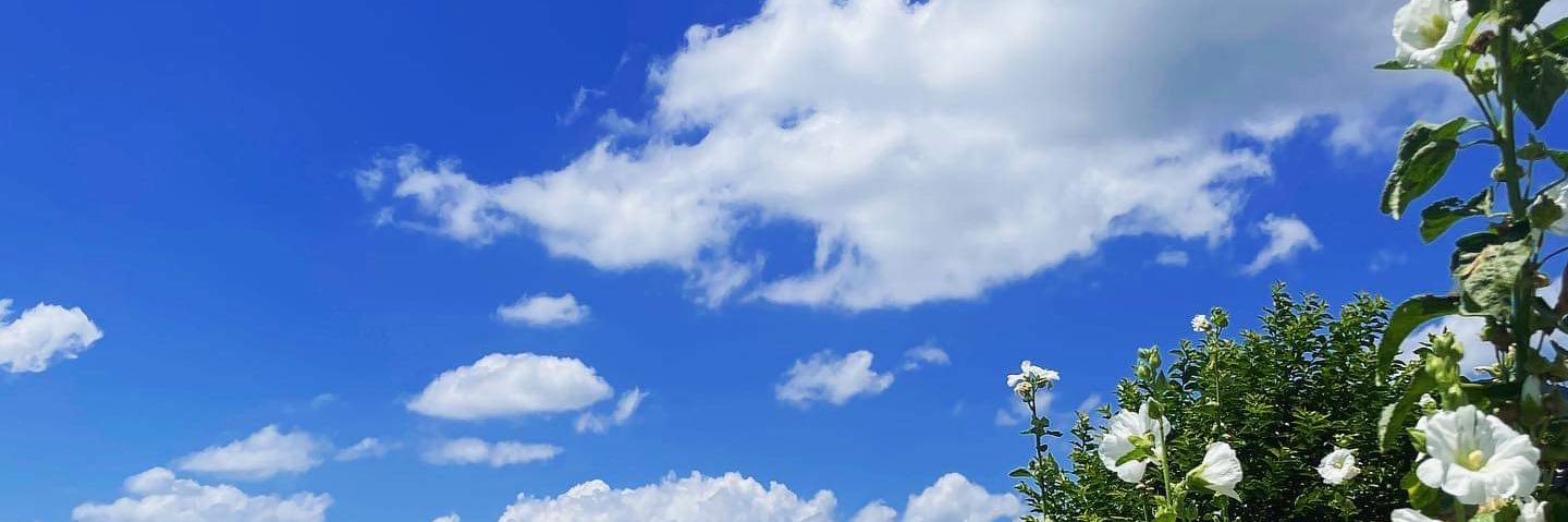 С.Наранцогт banner