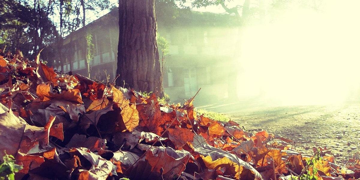 tC_Destin's profile banner image