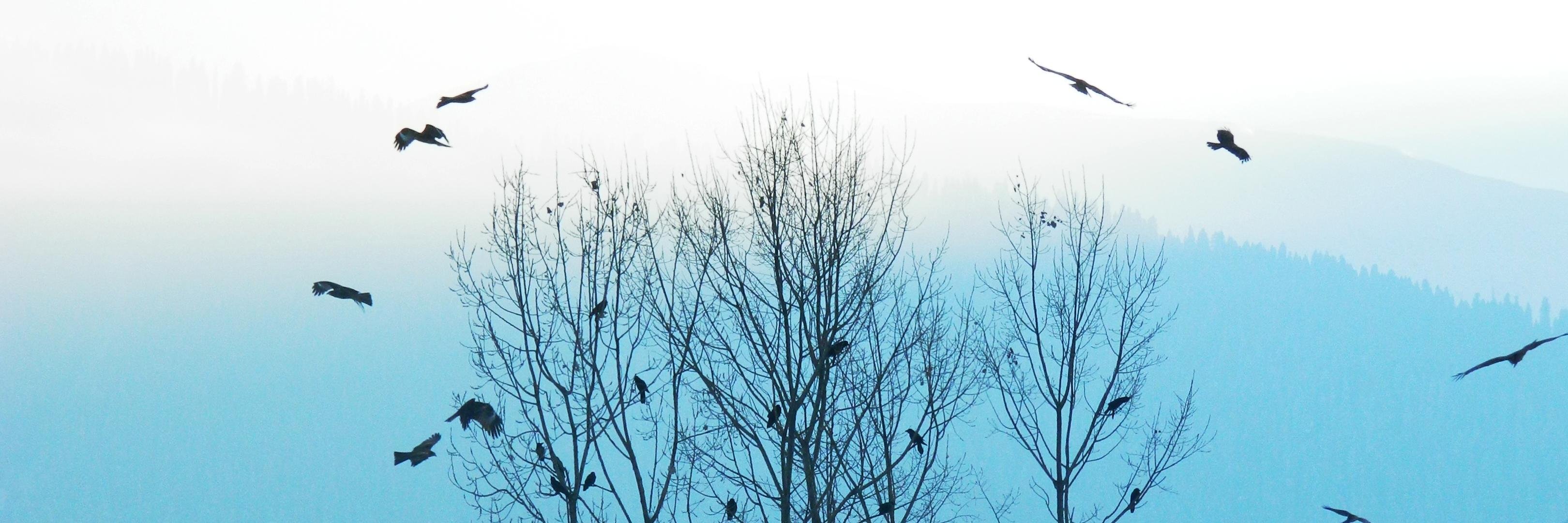 ashna_abrol's profile banner image