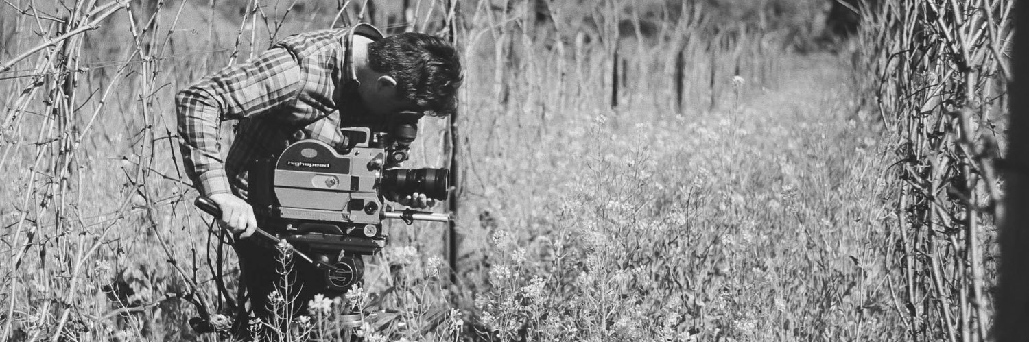 films_forgotten's profile banner image