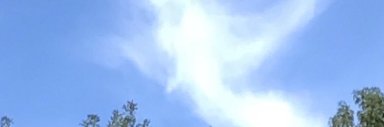FayeChristen's profile banner image