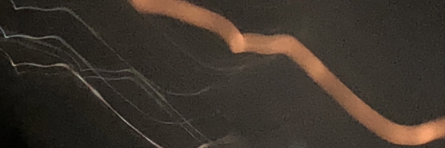 pwilliams26's profile banner image