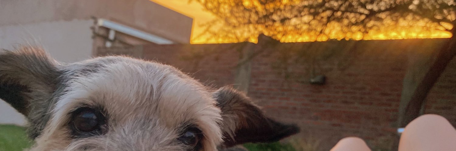 CandeeRibero's profile banner image