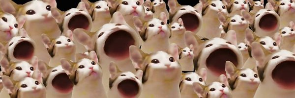 POPCATlSOLANA Profile Banner