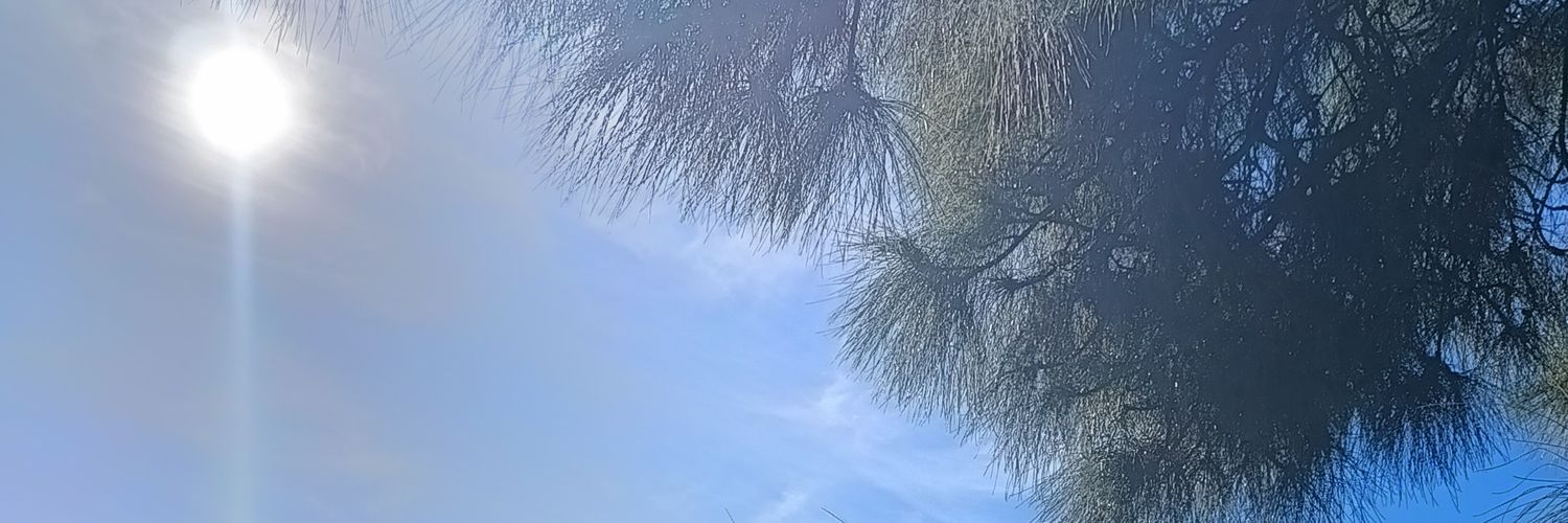 UmaHarris's profile banner image