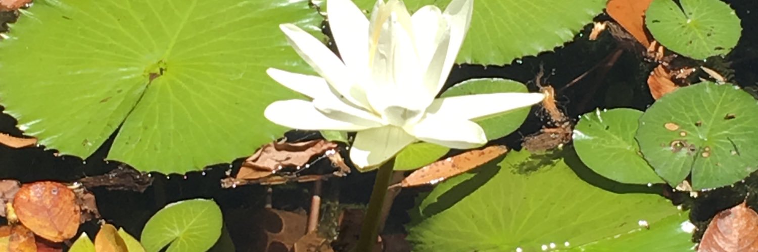 Lilithya25's profile banner image