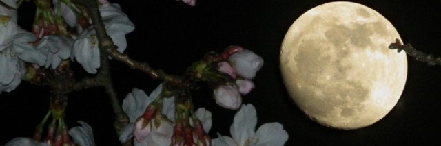 bougeebxtch's profile banner image