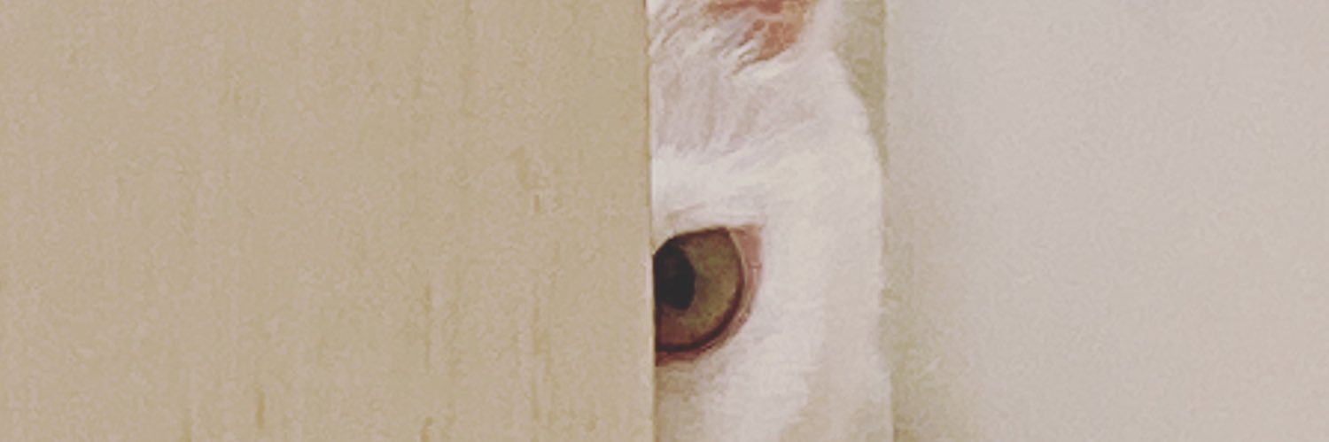 Tomoko.N banner
