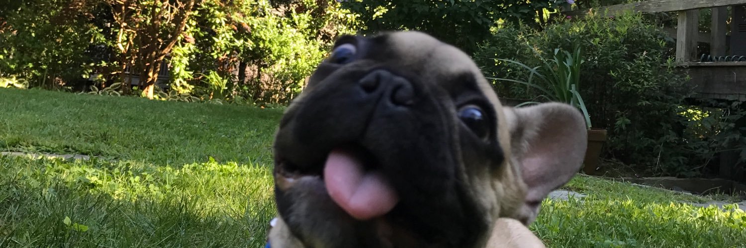 Dansoto517's profile banner image