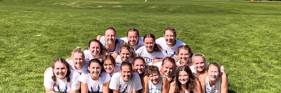 FreyaUltimate's profile banner image