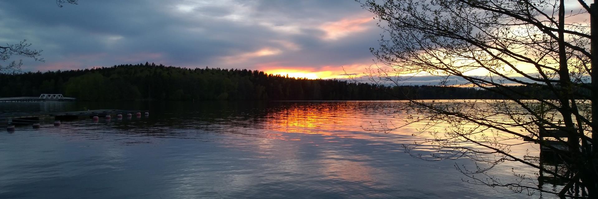 LWiln's profile banner image