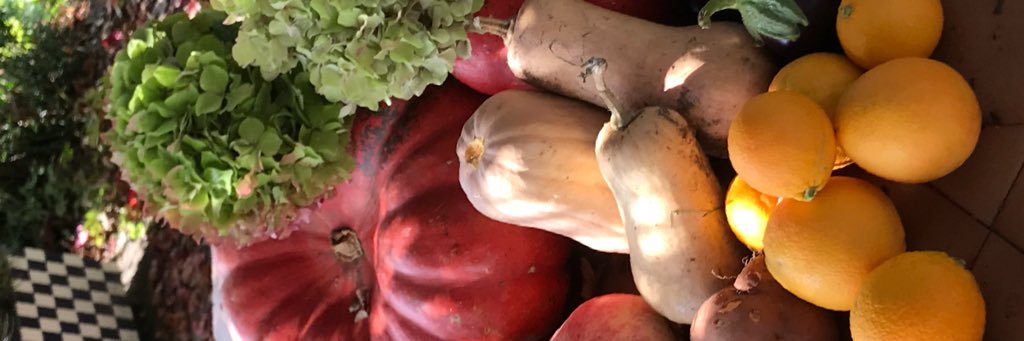 Lluís Salitges banner