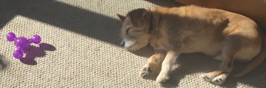 ERReed27's profile banner image