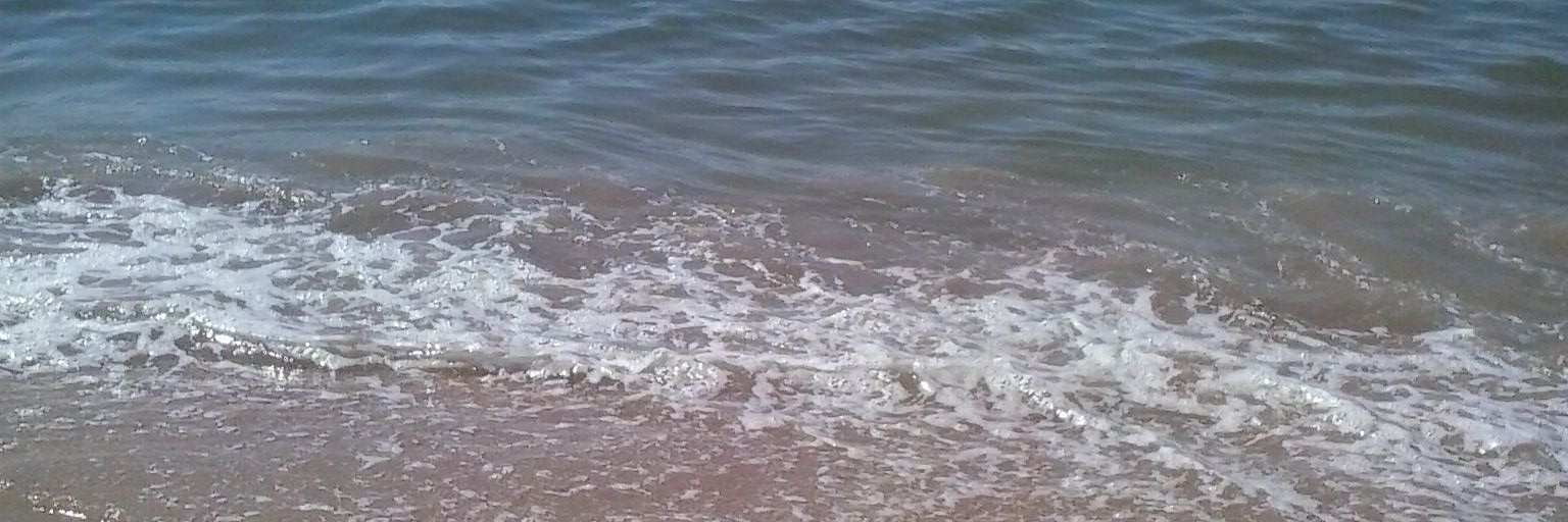 anamferrod's profile banner image