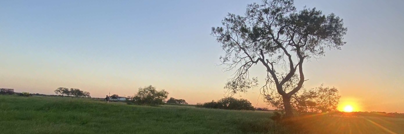 Bonofide82's profile banner image