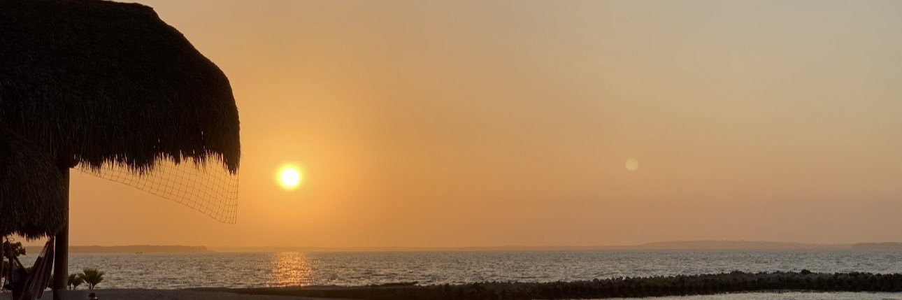 Cassandra Pino banner