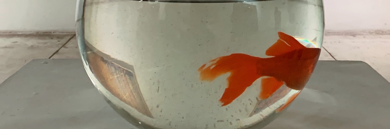Ethanvz's profile banner image