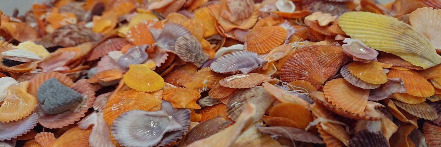 檀 裕也🖥️情報学部2年目Start→ banner