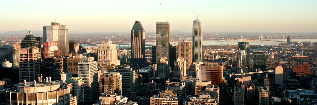tledwell's profile banner image