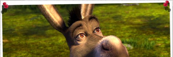 sailsassassin Profile Banner