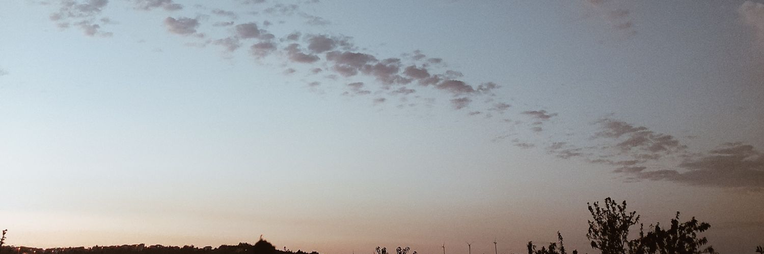 SlviaCarvalhoo's profile banner image