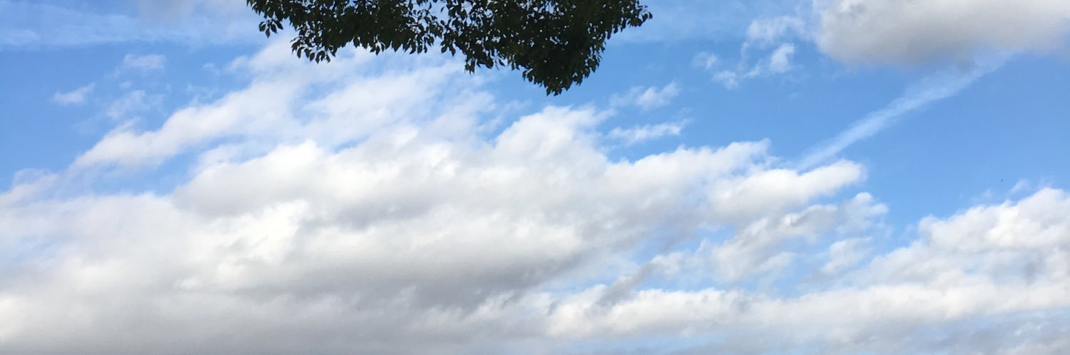 OneCloudyBoi banner