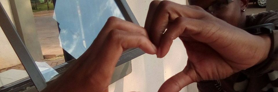 Lesenyego-TPT banner